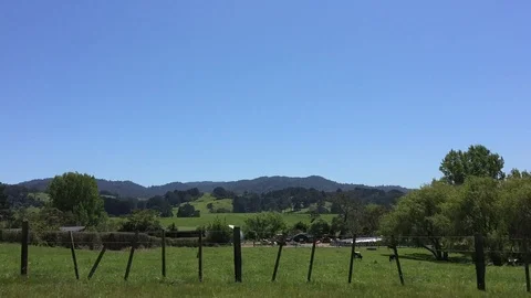 Countryside drive Stock Footage 119796543