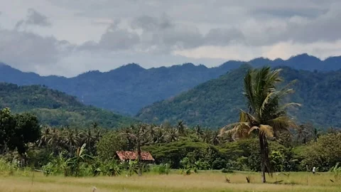 The countryside during the day Stock Footage 294280008