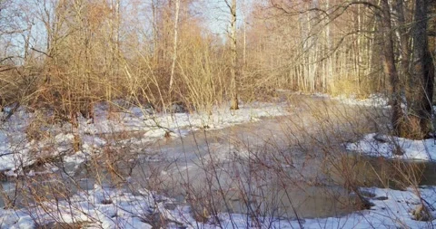 Countryside in early spring Stock Footage 300541673