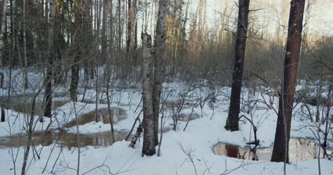 Countryside in early spring Stock Footage 300541695