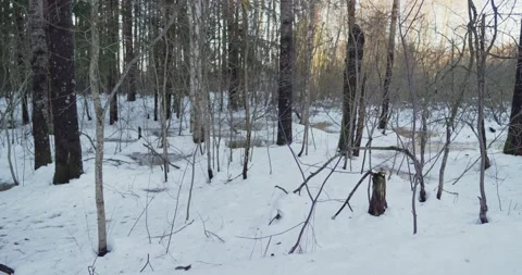 Countryside in early spring Stock Footage 300541709