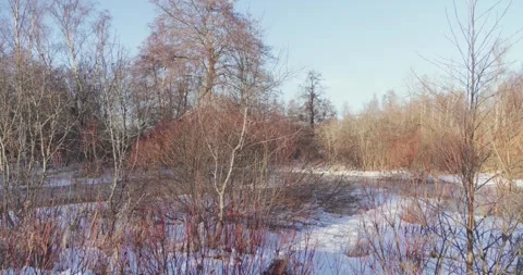 Countryside in early spring Stock Footage 300541781
