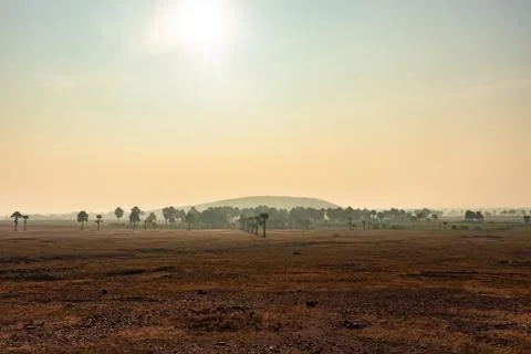 Countryside empty rural area cover with mist at morning Stockfoto's