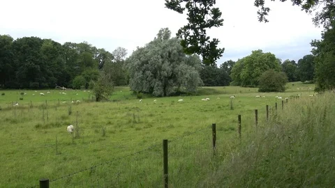 Countryside of England. Video stock 92037376