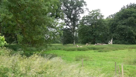 Countryside of England. Stock Footage 92037413