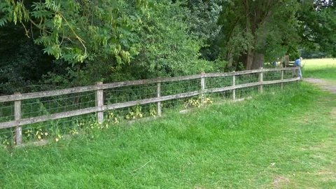 Countryside of England. Stock Footage 92037534