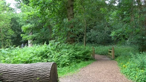 Countryside of England. Stock Footage 92037542