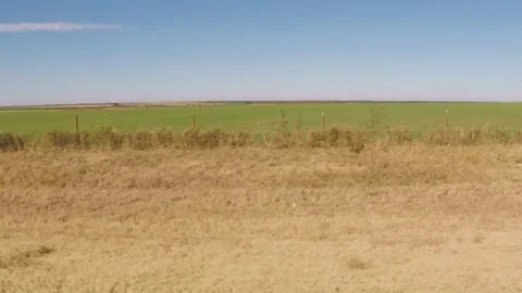 Countryside in the fall. Wheat fields. Scenic view from car. Stock Footage 82071027