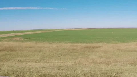 Countryside in the fall. Wheat fields. Scenic view from car. Video stock 82071294