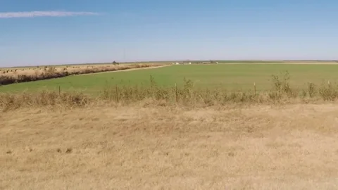 Countryside in the fall. Wheat fields. Scenic view from car. Stock Footage 82071462