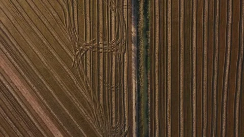 Countryside farming fields Stock-Footage 272297963