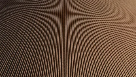 Countryside farming fields Stock-Footage 272298209