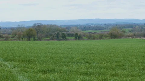 Countryside Field v2 Stock Footage 88070404