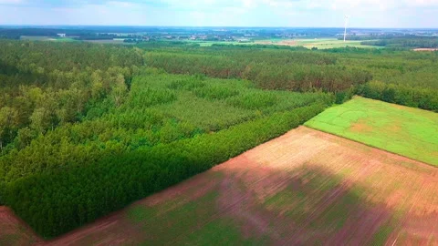 Countryside with fields and forests seen from above. Stock Footage 276811214