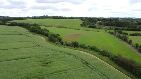 Countryside fields England Vidéo 195940276