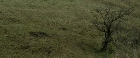 COUNTRYSIDE FIELDS Stock Footage 141601447