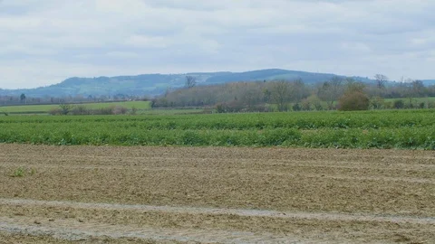 Countryside Fields V2 4k Stock Footage 88064711