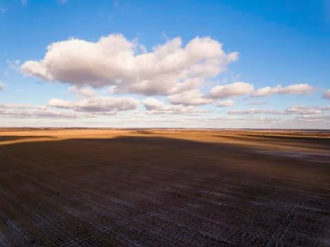 Countryside with fields in winter time. Stockfoto's