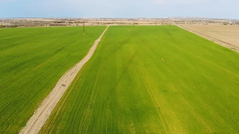 Countryside, flying over a green field, view from above. Stock Footage 128752017