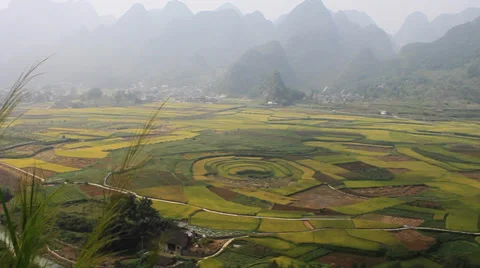 Countryside Stock Footage 31516227