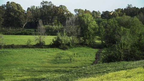 Countryside Stock Footage 74407652