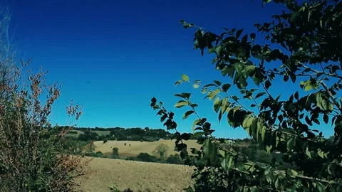 Countryside Stock Footage 138454749