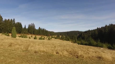 Countryside Stock Footage 143393041