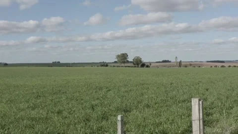 Countryside 库存影片 153947402