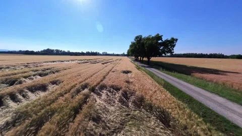 Countryside Stock-Footage 156078039
