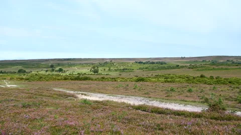 Countryside Stock Footage 244743424