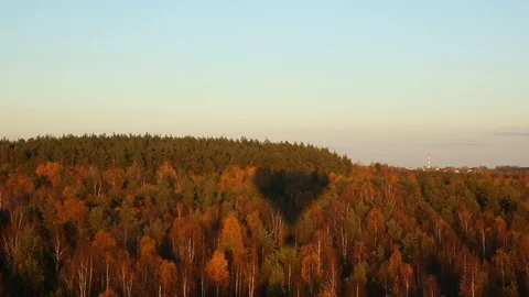 Countryside forest Stock Footage 97136535