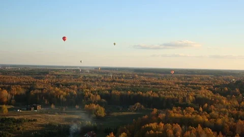 Countryside forest Stock Footage 97136672