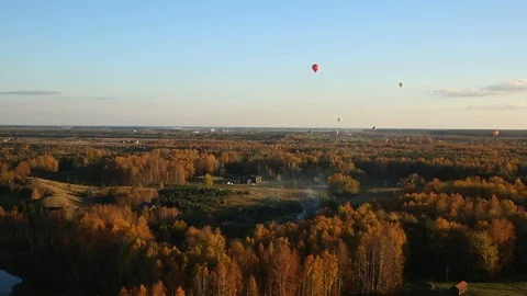 Countryside forest Stock Footage 97136781