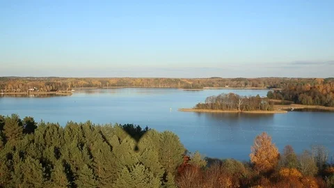 Countryside forest Stock Footage 97137115