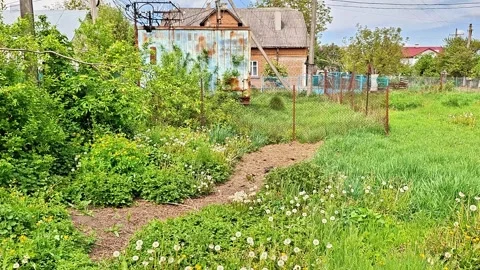 Countryside Garden Path Through Lush Green Backyard in Springtime 動画素材 336360684
