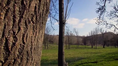 Countryside, Hungary Video stock 259109915