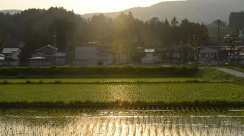 Countryside of Japan Stock Footage 25014461