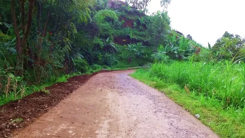 Countryside on Java Indonesia Vídeos de archivo 84240721