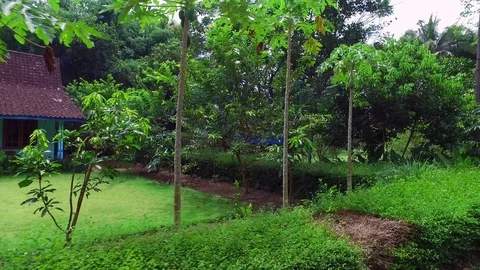 Countryside from java Indonesia Vídeos de archivo 87540923