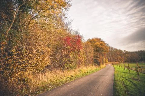 Countryside landscape in the fall Stock Photos