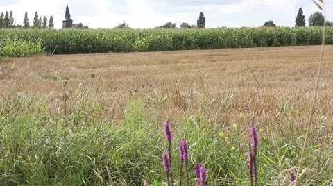Countryside, landscape Stock Footage 46276251