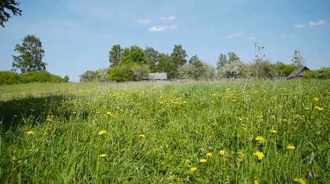 Countryside landscape 스톡 동영상 50503814