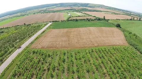 Countryside landscape 스톡 동영상 52068309