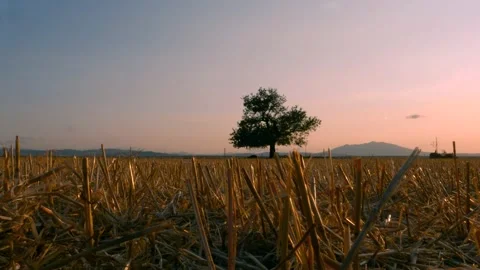 Countryside landscape from the grass viewpoint Stock Footage 161414860