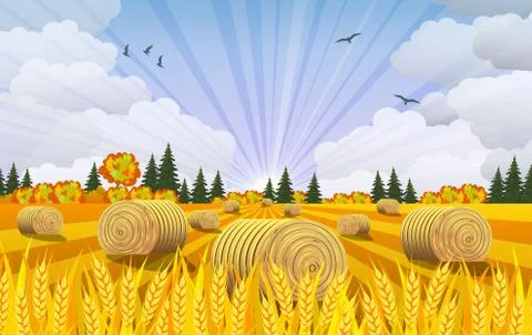 Countryside landscape with haystacks on fields. イラスト素材