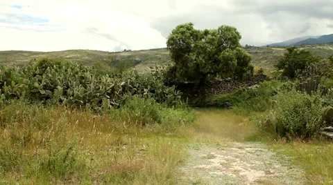 Countryside landscape in Peru 스톡 동영상 22098594