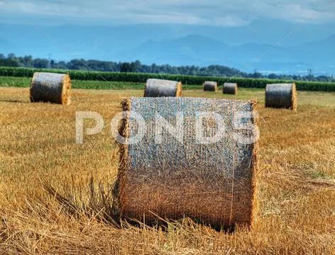 Countryside landscape Stock Photos