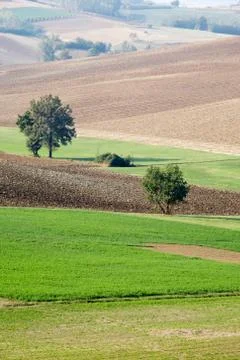Countryside landscape Stock Photos