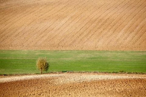 Countryside landscape Stock Photos