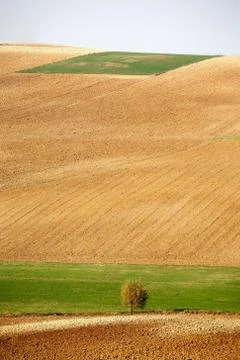 Countryside landscape Stock Photos